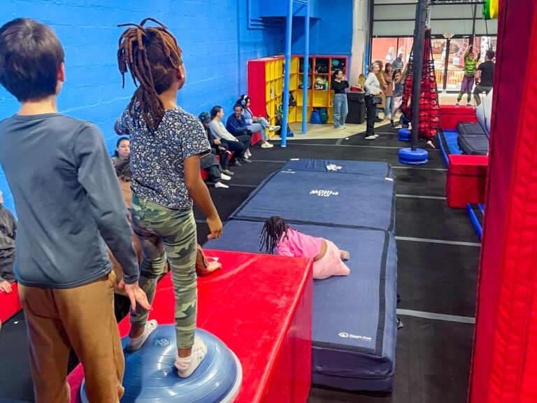 Ferox Ninja Playground